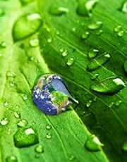 ecocheques