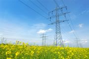 elektriciteit voor particulieren