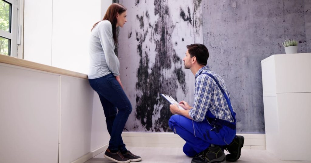 Un ouvrier avec un genoux à terre en face d’une femme appuyée sur la pie de la fenêtre, tout deux devant un mur infesté par la moisissure.