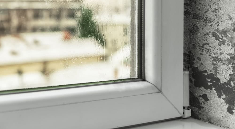 Fenêtre avec de la condensation sur la vitre et de la moisissure sur le mur 