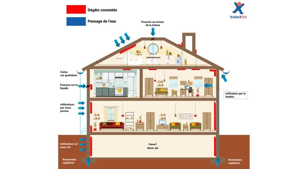 Infographie reprenant le schéma d'une maison et montrant les problèmes d'humidité potentiels : infiltrations d'eau, remontées capillaires, condensation