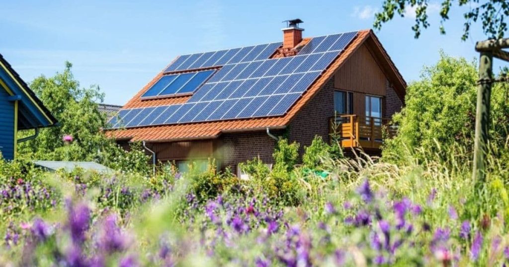 Maison avec des panneaux solaires au milieu d'un champ de fleurs violettes 