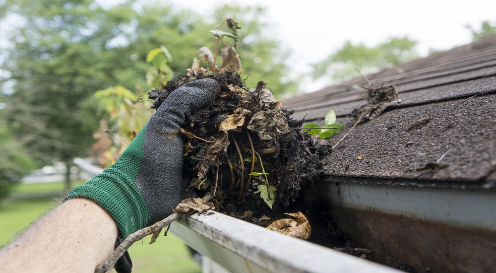 Comment réaliser l'entretien de vos gouttières ?