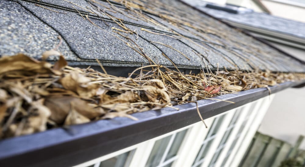 Nettoyage de gouttières  Entretien des gouttières à Repentigny