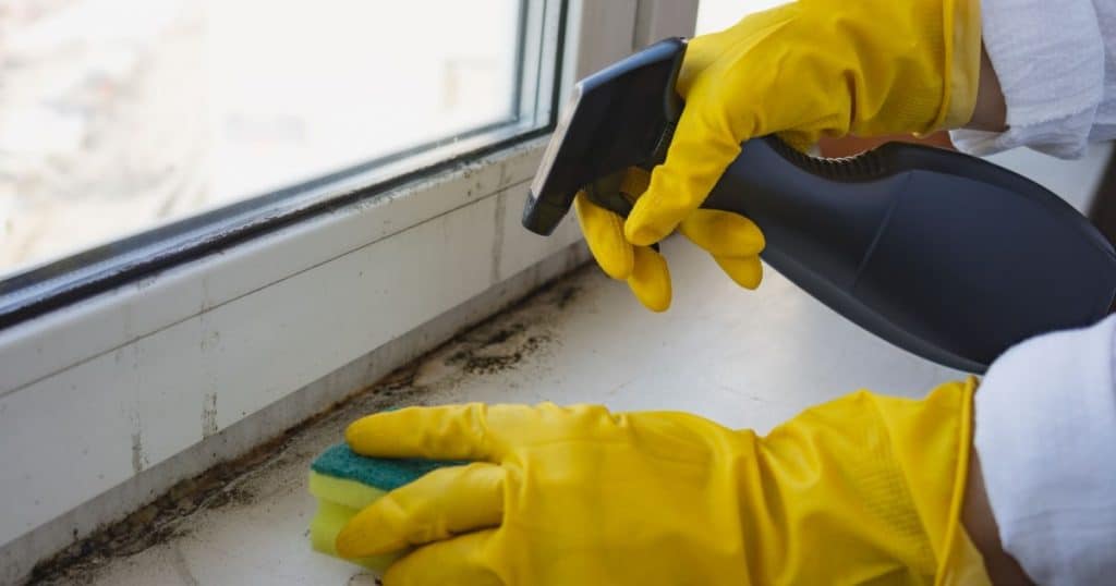 Nettoyage de moisissures sous une fenêtre, et ce à l'aide d'une éponge et d'un produit pulvérisé, 