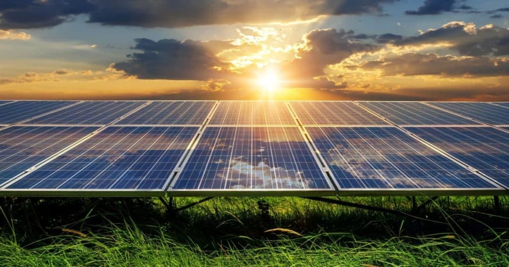 Panneaux solaires au sol sur de l'herbe avec un coucher de soleil en fond