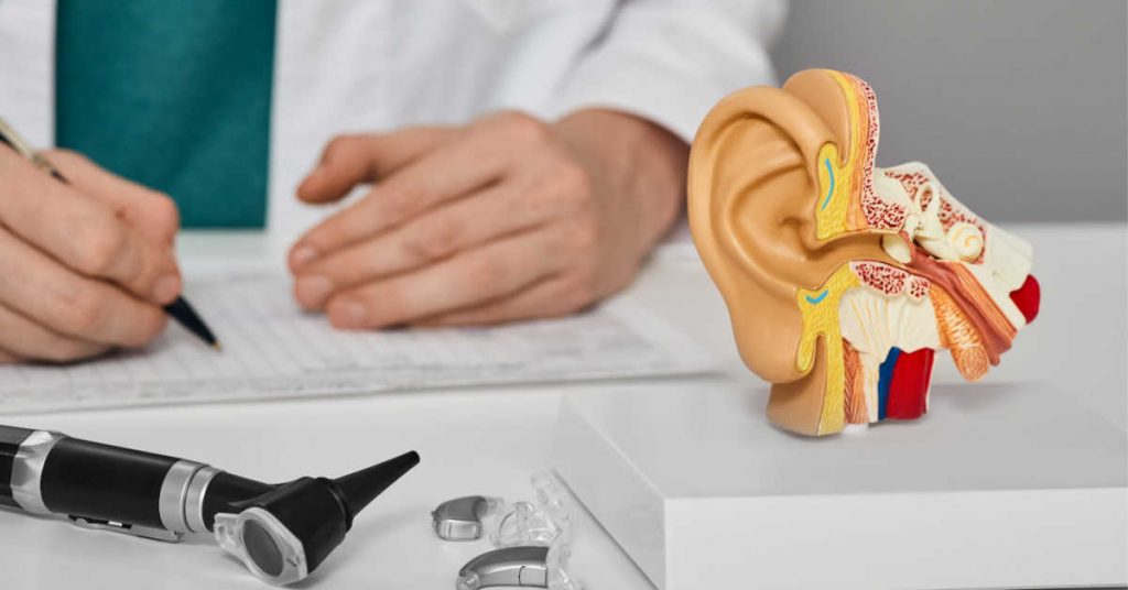 Medecin rédigeant des notes avec une maquette d'oreille.