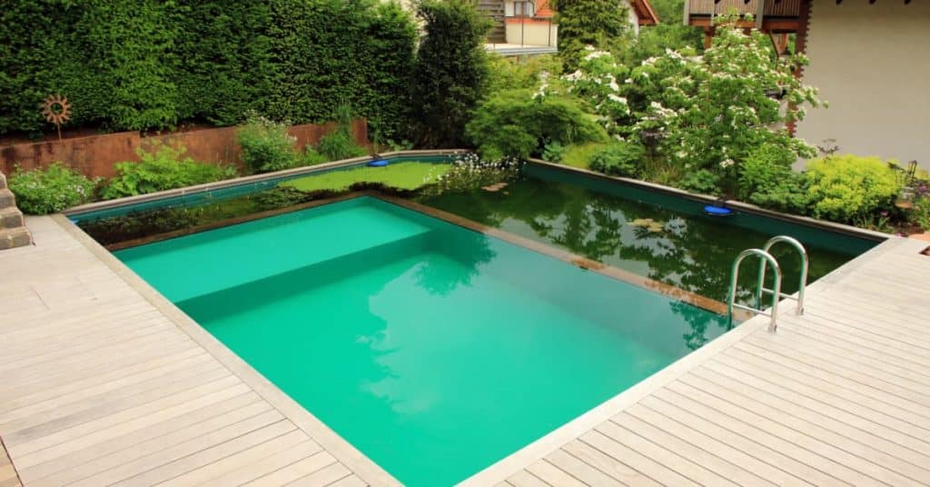 piscine naturelle
