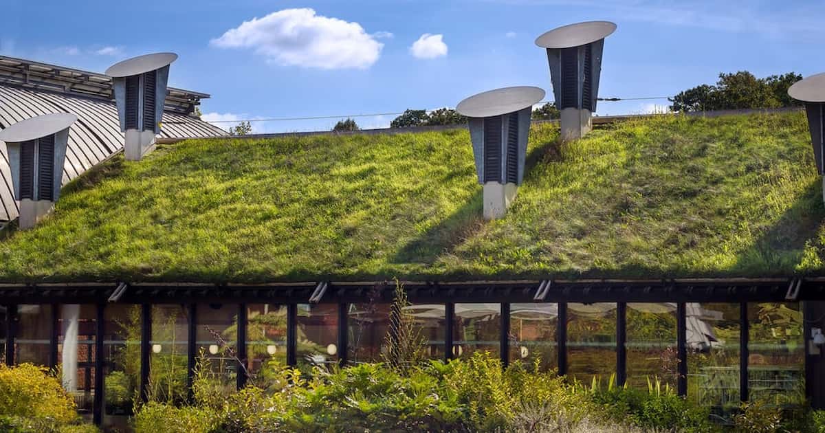 Toiture verte extensive sur véranda moderne