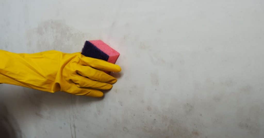Main avec des gants hygiéniques qui passe une éponge sur un mur rempli d'humidité