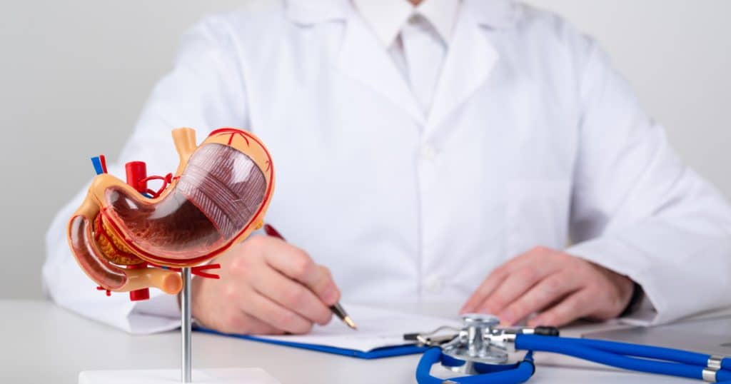 Médecin en blouse blanche prenant des notes à côté d’un modèle anatomique d’estomac humain, illustrant la chirurgie bariatrique.