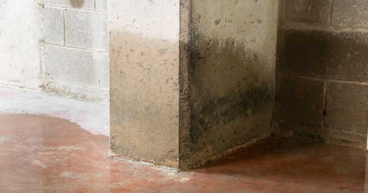 Mur d'une cave humide à cause de remontées capillaires