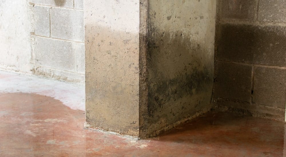 Mur d'une cave humide à cause de remontées capillaires