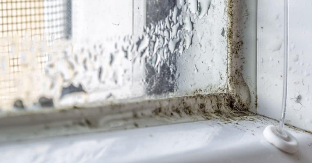 Coin d'une fenêtre en PVC dont les joints sont moisis et la fenêtre pleine de condensation.