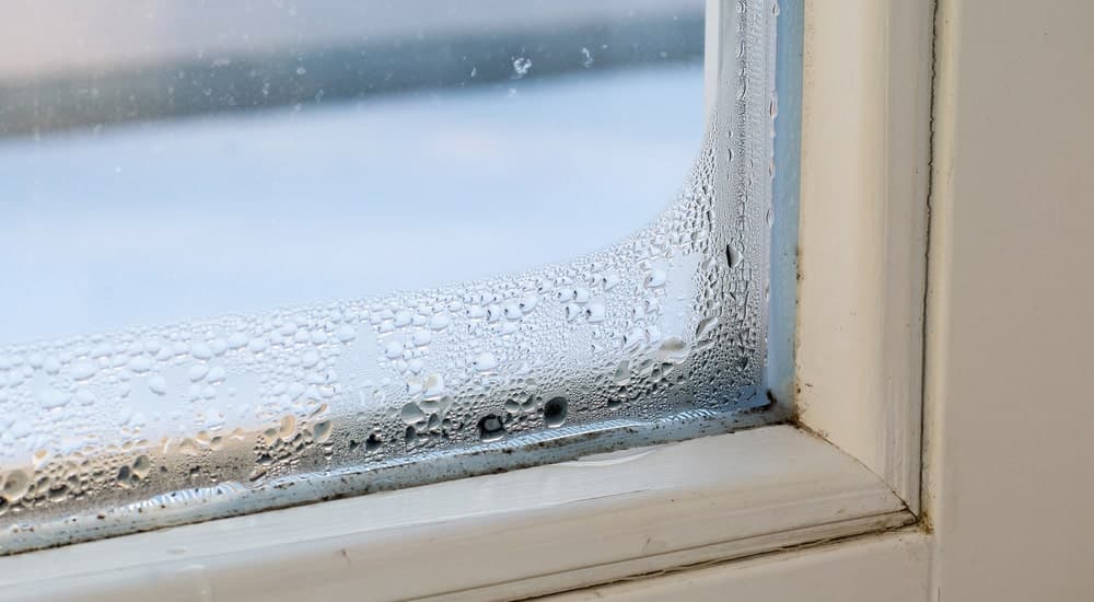 Constatation de condensation sur la fenêtre.