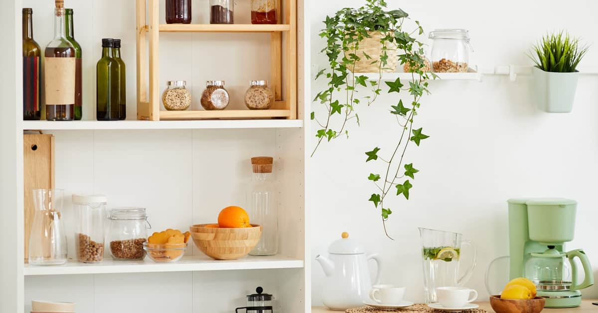 etagère et plante verte dans une cuisine bien amenagée