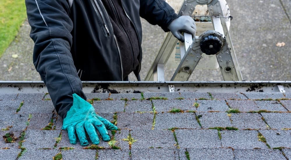 Démoussage d'une toiture en ardoise : Combien ça coûte ?