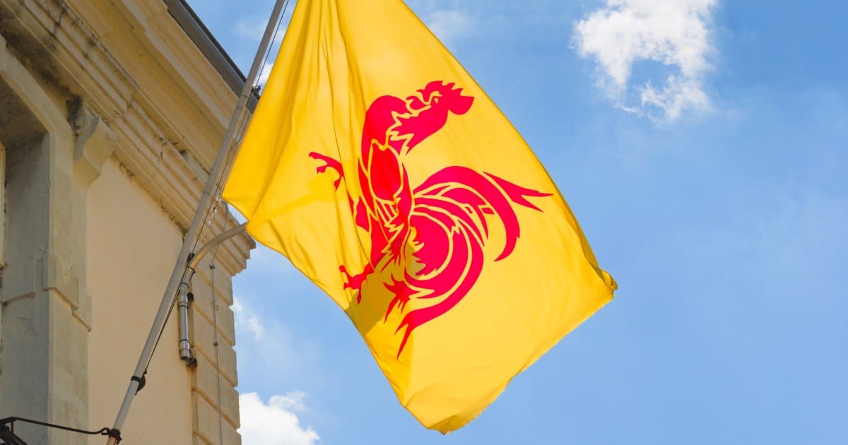 Drapeau de la Wallonie flottant sur un bâtiment.