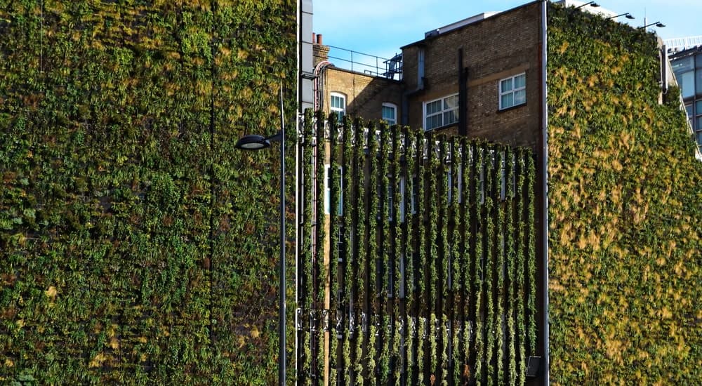 Les différents types de mur végétalisé- La Fabrique du Mur Vegetal