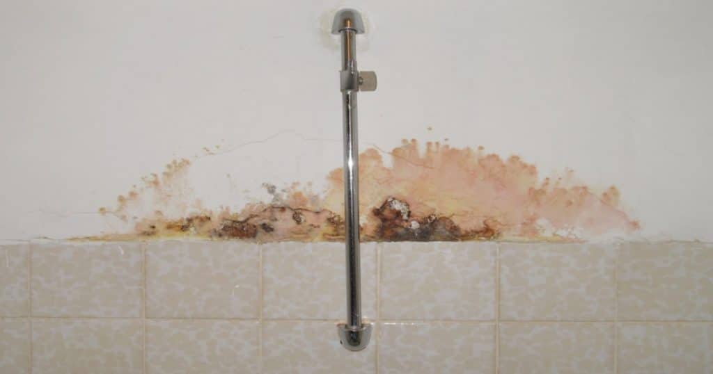 Le mur d'une salle de bain carrelée jusqu'à mi-hauteur souffre d'humidité derrière la barre de douche. 