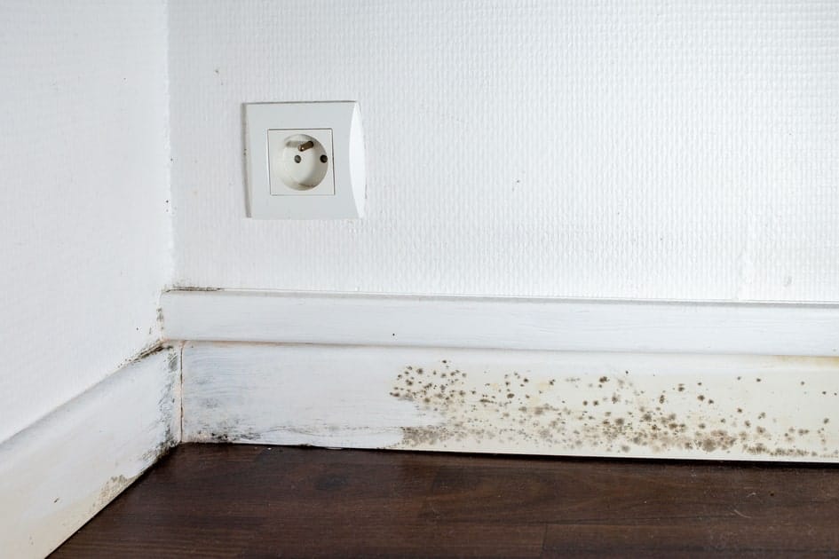 Comment reconnaitre et traiter les signes d