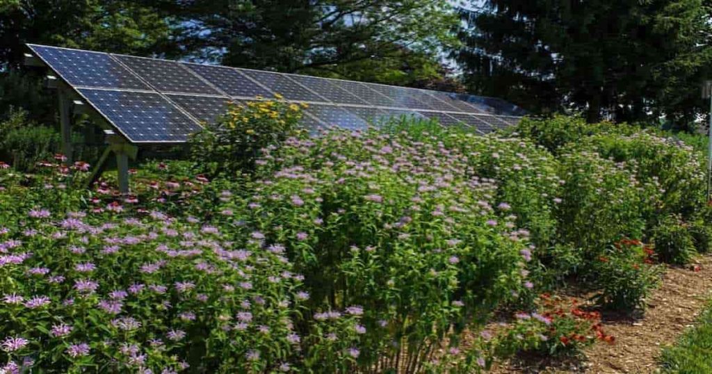 panneaux solaires au sol dans un jardin