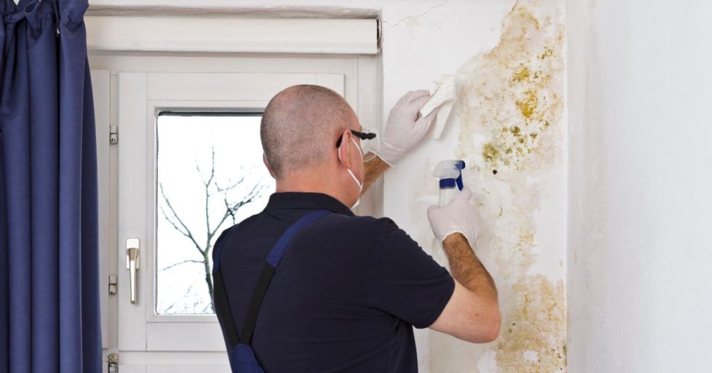 professoinnel en train de nettoyer de la moisissure blanche sur un mur à l'aide d'un antifongique