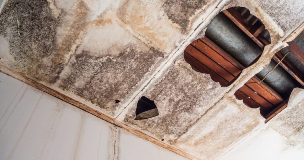 Plafond détérioré à cause de moisissures et effondrement.