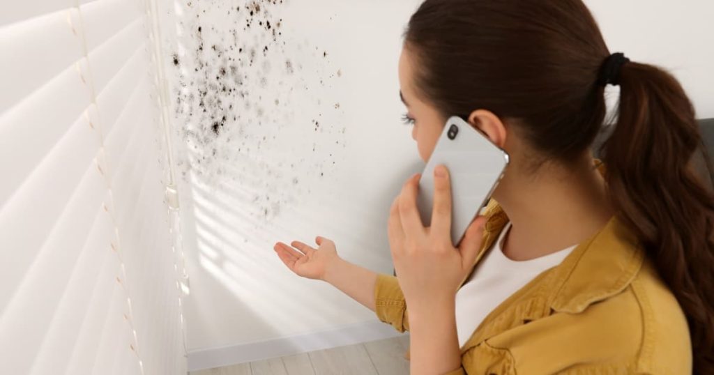 Femme au téléphone face à un mur avec de l'humidité