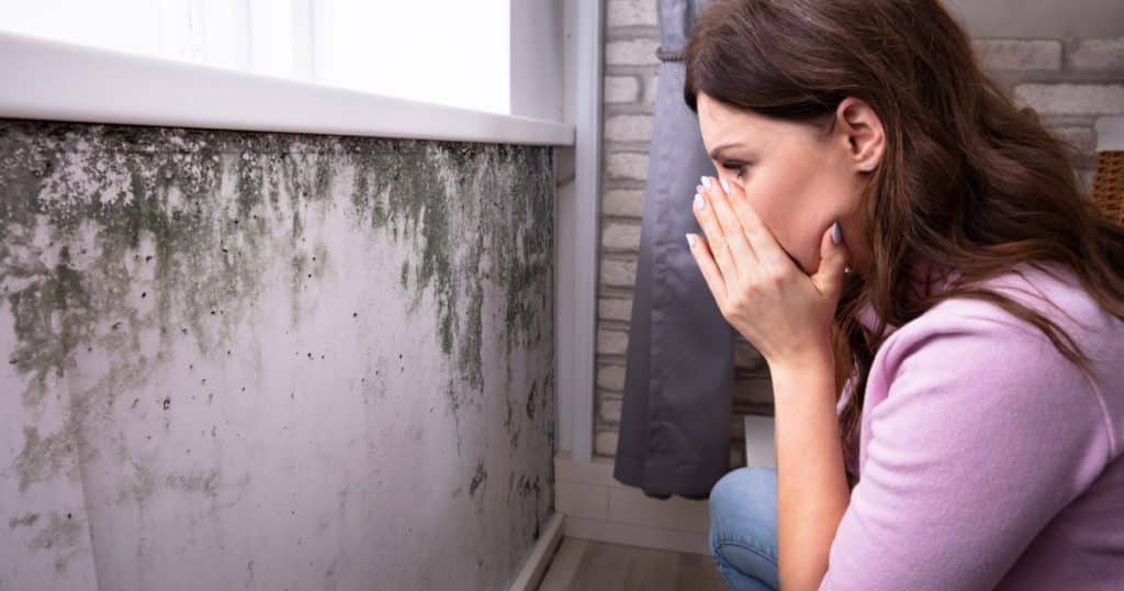 Une femme découvre de la moisissure sur ses murs et est inquiète pour sa santé