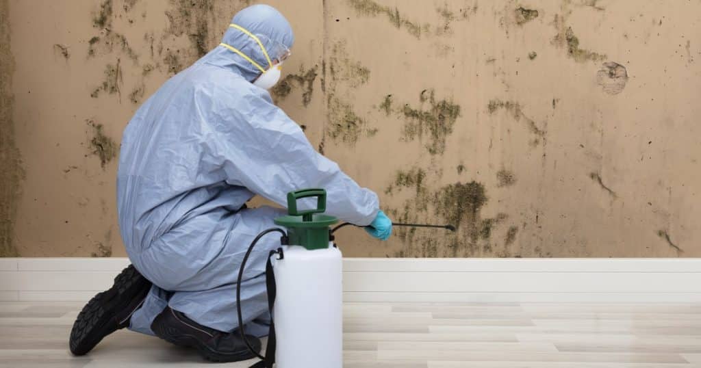 Une personne accroupie pulvérise un produit sur un mur rempli de moisissures. Cette personne est habillée avec une tenue complète de protection.
