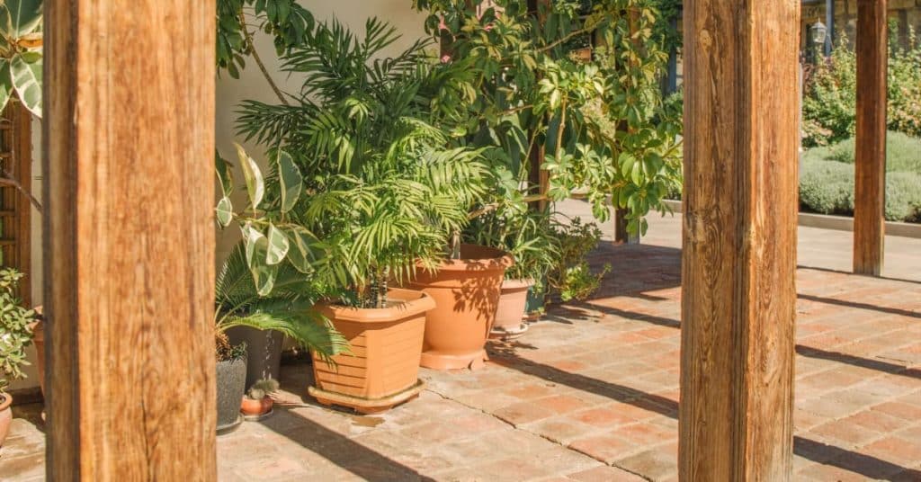 Vue sur des pilotis en bois et d'une terrasse avec des plantes