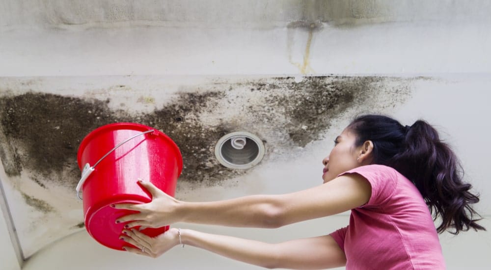 Jeune femme tenant un seau rouge pour collecter l'eau qui tombe du plafond de sa chambre endommagé par de la moisissure.