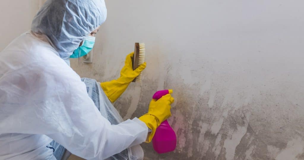 Une dame en tenue de protection nettoie les moisissures d'un mur à l'aide d'un produit pulvérisé et d'une brosse. 
