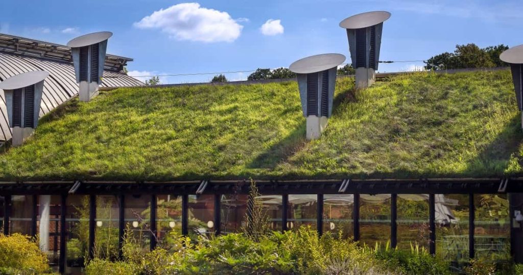 Toiture végétalisée d'une maison noire