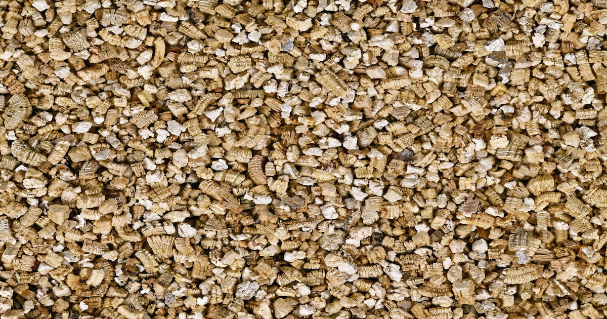 La vermiculite : avantages, inconvénients et utilisation de cet