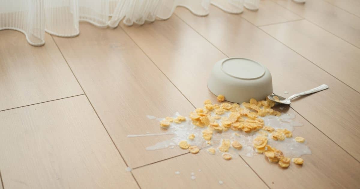Bol de céréale renversé sur le sol de cuisine en parquet clair