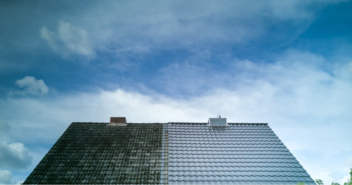 avant-après d'une toiture avec de la mousse 