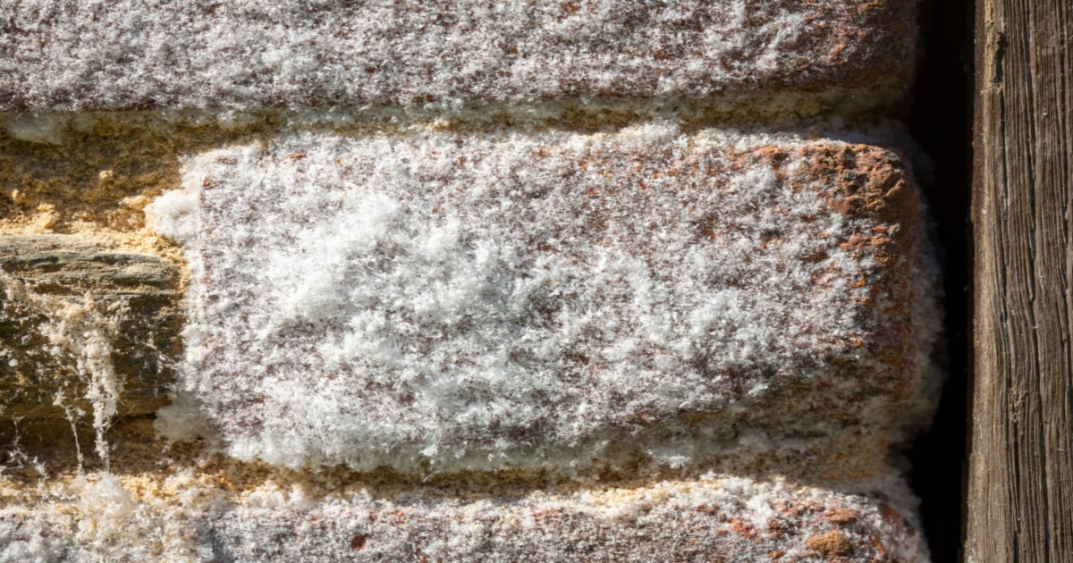 traitement contre l'humidité, cuvelage, salpêtre, moisissure, mur