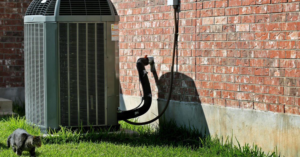 Buitenunit van een airconditioningsysteem gemonteerd tegen een bakstenen muur en een kat die over het gras loopt.
