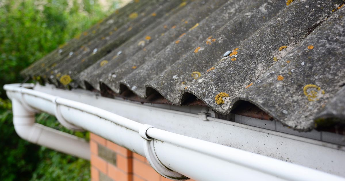 Eternit asbest golfplaten op dak