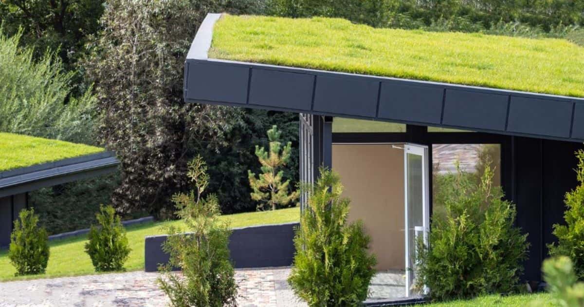 Een woning met een schuin dak met extensief groendak, bedekt met lage begroeiing zoals mossen en gras.