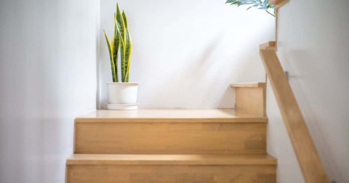 Houten bordestrap met twee planten. 