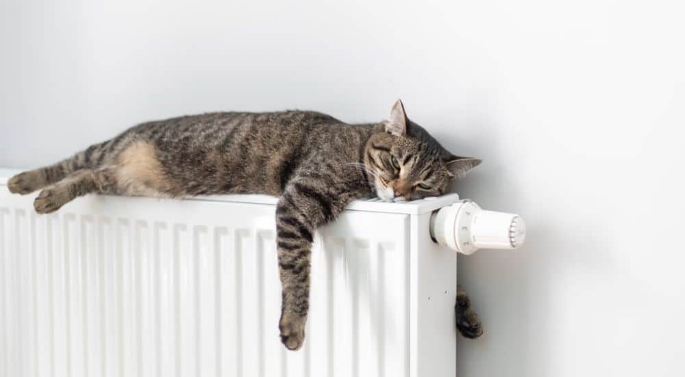 Radiator kopen