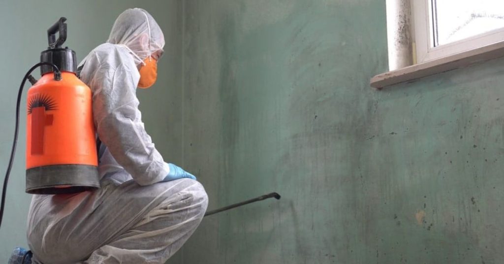 Man in een beschermpak en masker die met een sproeier schimmel verwijdert van een muur