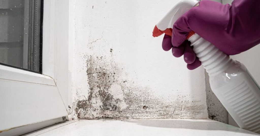 Opstijgend vocht veroorzaakt schimmel op binnenmuren, bestrijding met spray tegen schimmel