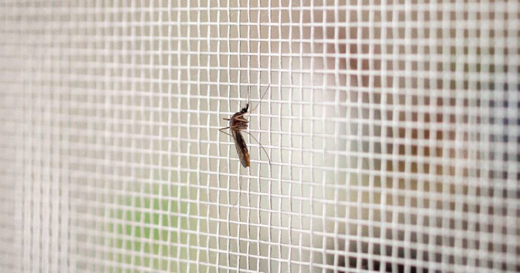 Close-up van een mug op het screen van een veranda.