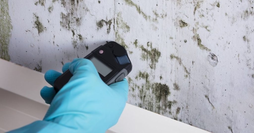 Vochtmeting van een beschimmelde muur met opstijgend vocht