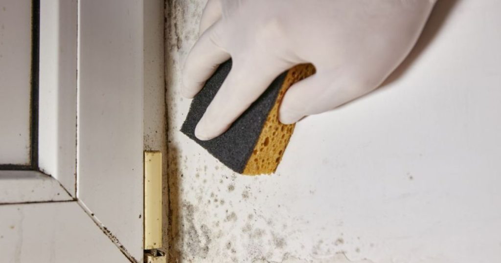 Hand met witte handschoenen die met een spons schimmel en vochtplekken rond een raam schoonmaakt