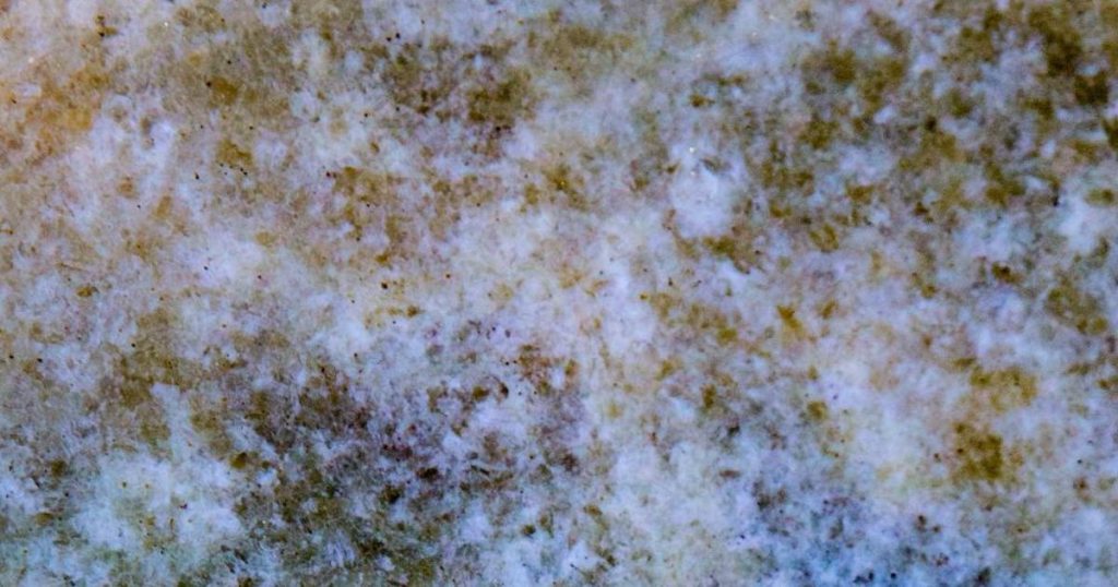Close-up van witte schimmelplekken verspreid over een muur